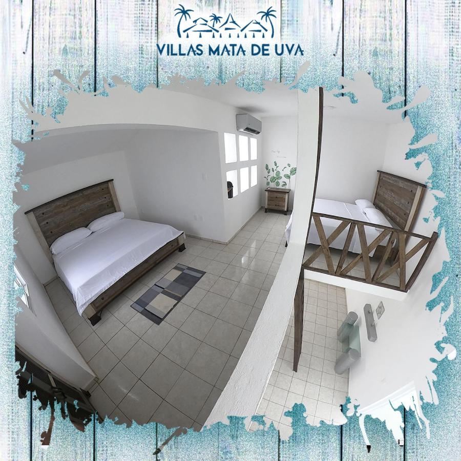 Villas Mata De Uva Alvarado Bagian luar foto