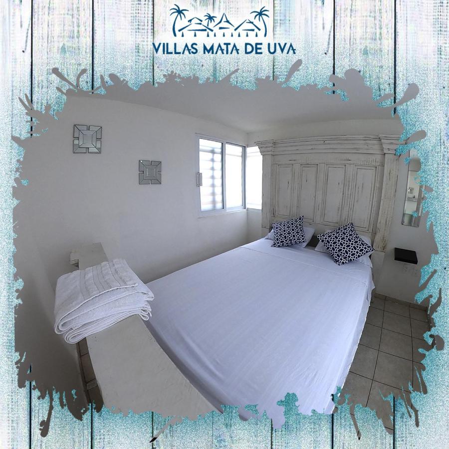 Villas Mata De Uva Alvarado Bagian luar foto