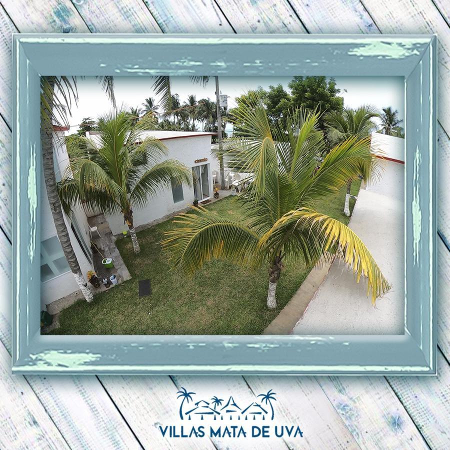Villas Mata De Uva Alvarado Bagian luar foto